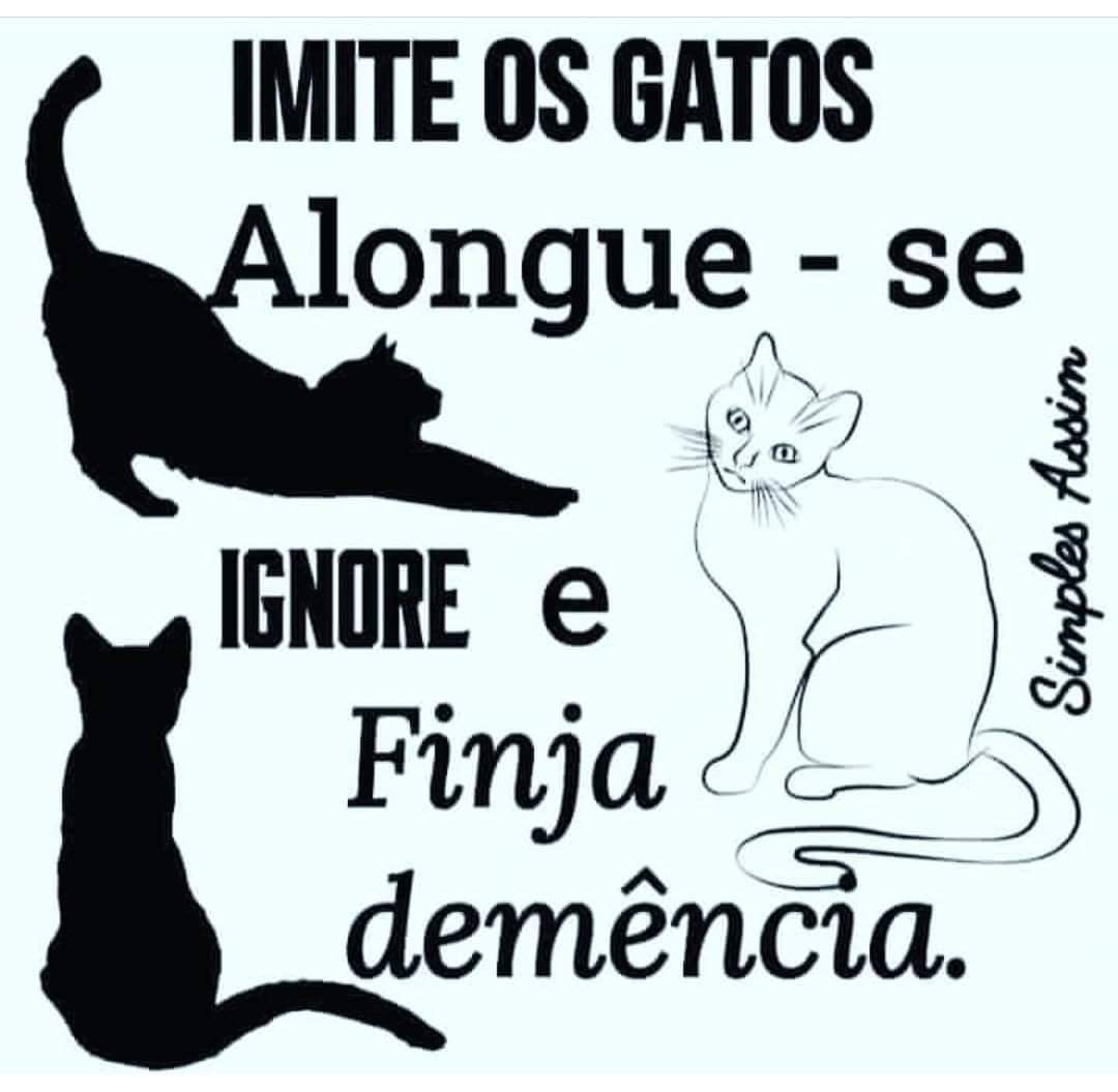 Imite Os Gatos